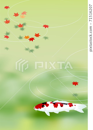 錦鯉秋葉綠色垂直 71516207