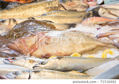sea bass, mackerel, John Dory fish sea bass, mackerel, John Dory fish 71516892