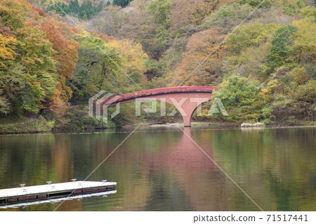 臼井湖秋葉 臼井湖秋葉 71517441