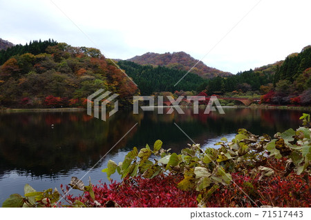 Autumn leaves of Usui Lake Autumn leaves of Usui Lake 71517443