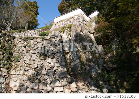 [Japan's Top 100 Castle] Bitchu Matsuyama Castle Takahashi Gaki riding on natural stone Takahashi City, Okayama Prefecture 71518106