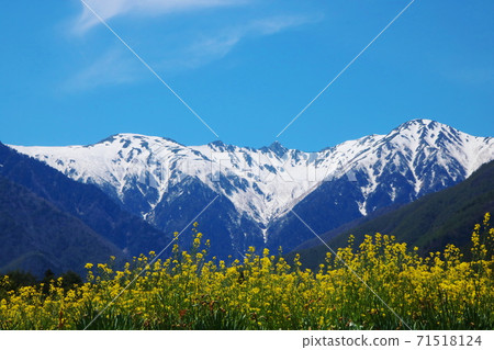 Hokendake and rape blossoms with residual snow Hokendake and rape blossoms with residual snow 71518124