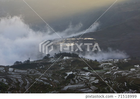 元陽元陽多益樹區紅河哈尼田田清晨景觀 71518999