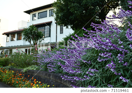 Hill Park where Yokohama · Harbor can be seen Hill Park where Yokohama · Harbor can be seen 71519461