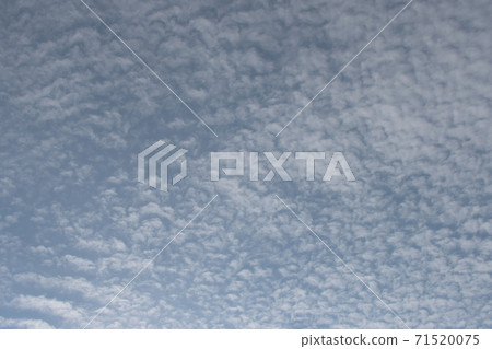 秋陰七里濱 71520075