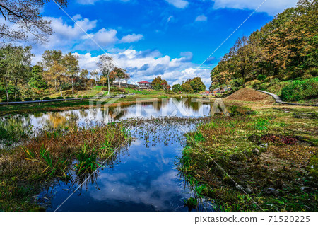 越後湯澤湯澤高原村阿爾卑斯山濕花花園A巨型池塘和秋葉山脈 越後湯澤湯澤高原村阿爾卑斯山濕花花園A巨型池塘和秋葉山脈 71520225