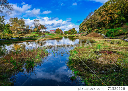 越後湯澤湯澤高原村阿爾卑斯山濕花花園A巨型池塘和秋葉山脈 71520226