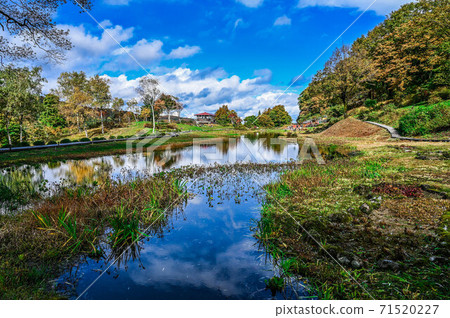 越後湯澤湯澤高原村阿爾卑斯山濕花花園A巨型池塘和秋葉山脈 越後湯澤湯澤高原村阿爾卑斯山濕花花園A巨型池塘和秋葉山脈 71520227