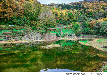 越後湯澤湯澤高原村阿爾卑斯山濕花花園A巨型池塘和秋葉山脈 71520228