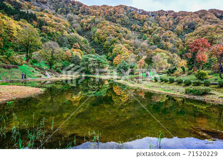 越後湯澤湯澤高原村阿爾卑斯山濕花花園A巨型池塘和秋葉山脈 71520229