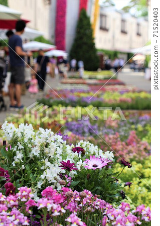 時尚咖啡館露台 時尚咖啡館露台 71520403