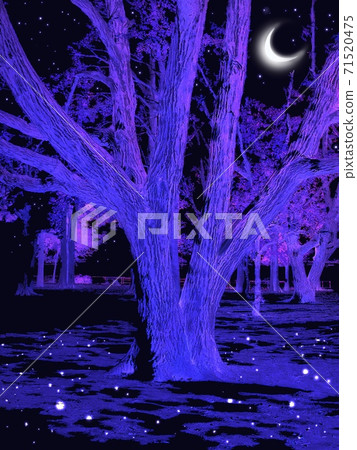 閃亮的月亮,星星和樹木在夜空中出現的剪影 閃亮的月亮,星星和樹木在夜空中出現的剪影 71520475