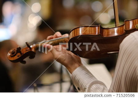 A violinist 71520506