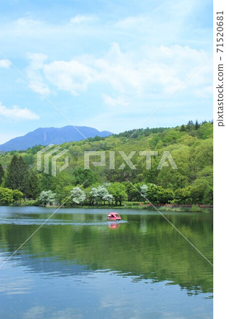 Tateshina Plateau Art Forest Sculpture Park 71520681