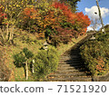 秋天的葉子顯示了宮山市的茅屋町佐藤八achi神社的石階 71521920