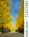 Ginkgo tree road in autumn at Azuma sport park Fukushima Japan 71521942