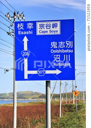 238號公路通往大豆角（北海道和歌町市） 71521959