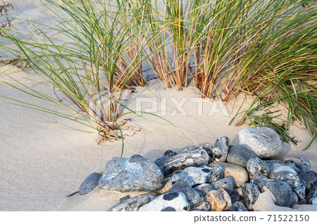 Baltic Sea coast in Klintholm Havn in Denmark 71522150