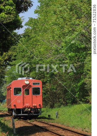 關東鐵道KIHA100系列柴油列車（舊國鐵KIHA30系列）行駛在綠意盎然的樹林中_2013年5月4日拍攝 71522836