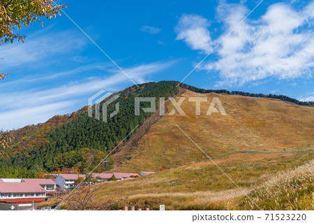 國立Soji青年自然館和日本房山(Soji Kogen) 國立Soji青年自然館和日本房山(Soji Kogen) 71523220
