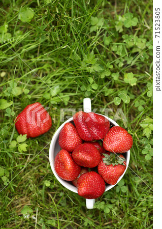 strawberry in bowl close up vertical photo with copy space on green grass background 71523805