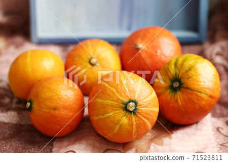 small pumpkin still life halloween closeup photo small pumpkin still life halloween closeup photo 71523811