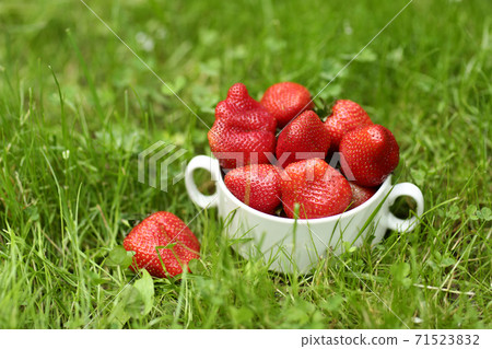 strawberry in bowl close up photo on green grass background strawberry in bowl close up photo on green grass background 71523832