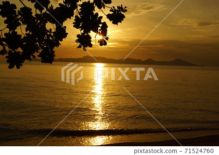 泰國克拉丹島上的日出 71524760