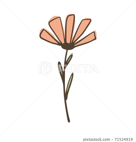 Flower isolated on white background. Abstract botanical sketch pink and green color hand drawn in style doodle. Flower isolated on white background. Abstract botanical sketch pink and green color hand drawn in style doodle. 71524919