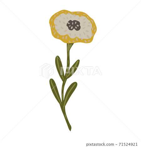 Poppy isolated on white background. Abstract botanical sketch green color hand drawn in style doodle. 71524921
