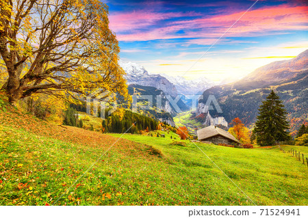 Fabulous autumn view of picturesque alpine Wengen village and Lauterbrunnen Valley Fabulous autumn view of picturesque alpine Wengen village and Lauterbrunnen Valley 71524941