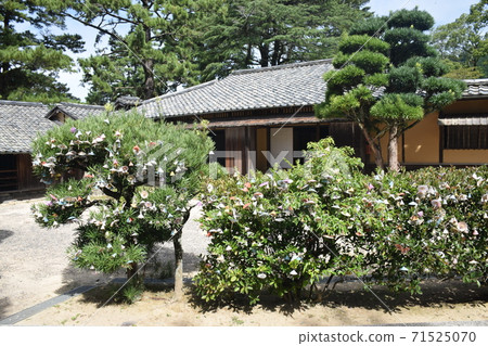 Yoshida Shoin Yuyinono故居 71525070