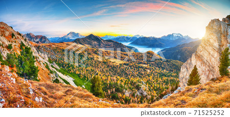 Awesome autumn in Dolomite Alps with larches i and mountaines Marmolada and Monte Civetta at sunset. Awesome autumn in Dolomite Alps with larches i and mountaines Marmolada and Monte Civetta at sunset. 71525252