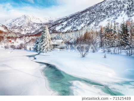 Fabulous winter scenery with frozen river with wooden houses and snow covered pine trees  71525489