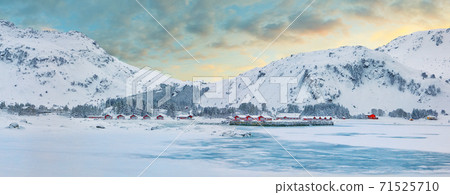 Winter scene with traditional Norwegian red wooden houses on the shore of Rolvsfjord in Valberg on Vestvagoy island at Lofotens Winter scene with traditional Norwegian red wooden houses on the shore of Rolvsfjord in Valberg on Vestvagoy island at Lofotens 71525710