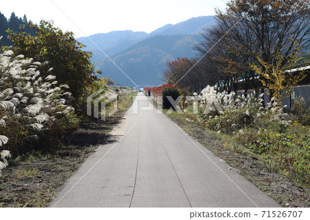 Eiheiji Temple Road (Eiheiji Town, Yoshida-gun, Fukui Prefecture) Eiheiji Temple Road (Eiheiji Town, Yoshida-gun, Fukui Prefecture) 71526707
