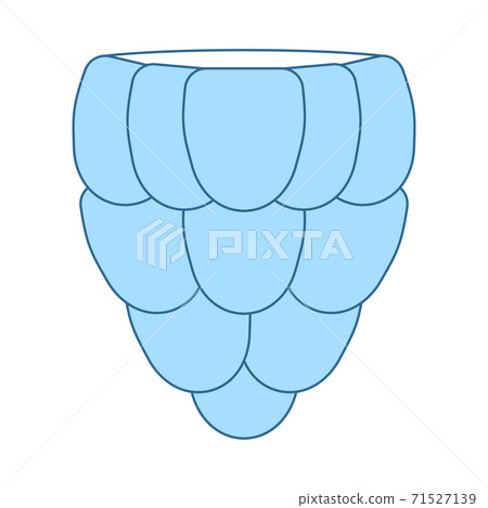 Icon Of Raspberry In Ui Colors 71527139