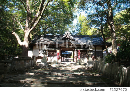 Ikota Shrine in Ikeda City, Osaka 71527670