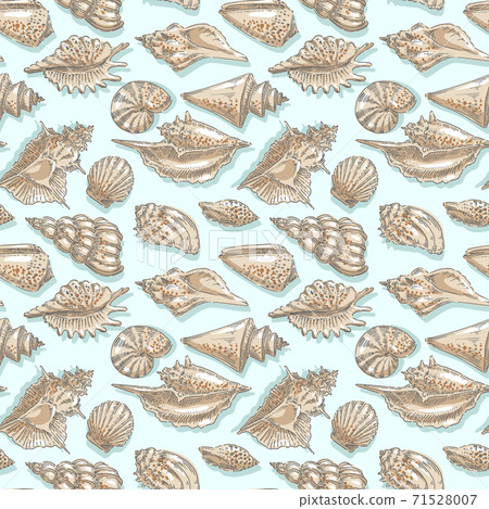 Seashell, shell, sea, mollusk, shellfish, nautical seamless pattern Seashell, shell, sea, mollusk, shellfish, nautical seamless pattern 71528007