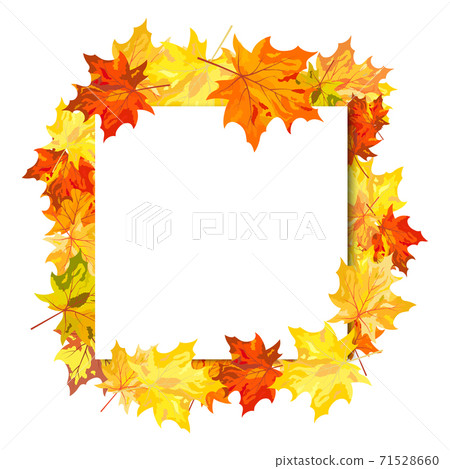 Maple Frame - Stock Illustration [71528660] - PIXTA