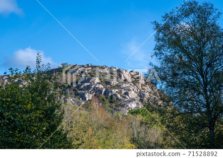 A rock with trees and green grass. Picture from Hamburgsund, Vastra Gotaland county, Sweden A rock with trees and green grass. Picture from Hamburgsund, Vastra Gotaland county, Sweden 71528892