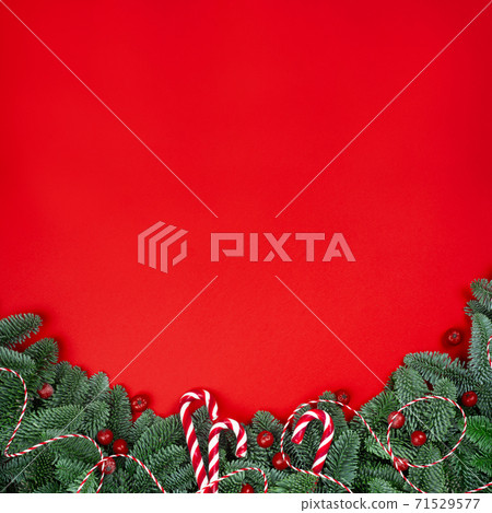 Christmas fir tree on red Christmas fir tree on red 71529577