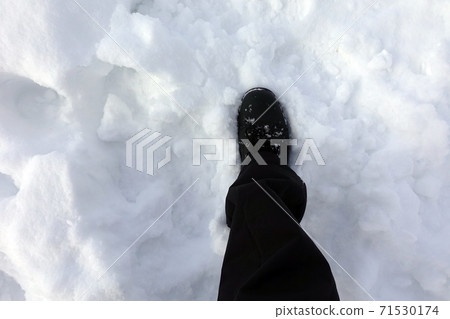 腳埋在北海道的粉雪中 71530174