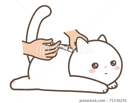 White cat veterinary hospital White cat veterinary hospital 71530291