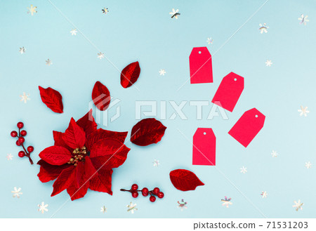 Winter Sale concept - Christmas flower poinsettia, red paper tags and snowflakes on blue background Winter Sale concept - Christmas flower poinsettia, red paper tags and snowflakes on blue background 71531203