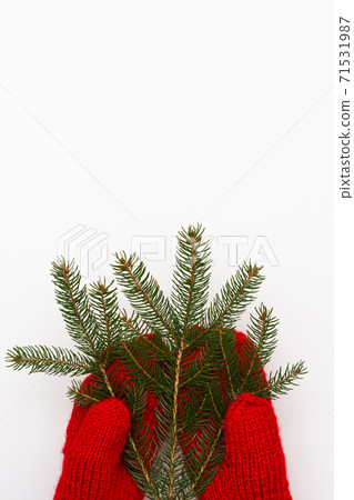 Spruce branch in red mittens Spruce branch in red mittens 71531987