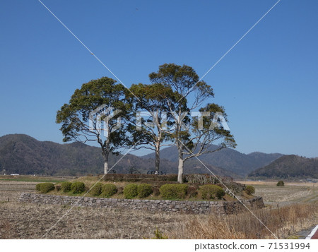 吉風路休息公園 71531994