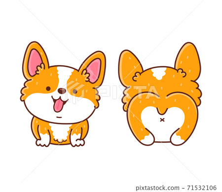 Cute happy corgi dog front and back Cute happy corgi dog front and back 71532106