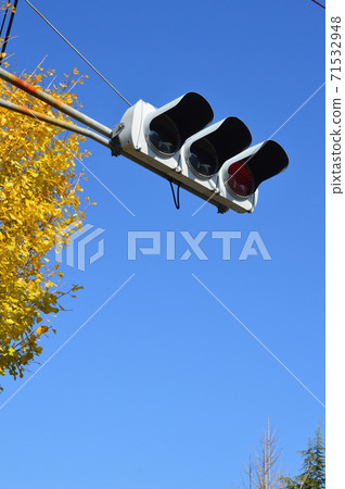 藍天，銀杏，紅綠燈（愛知縣名古屋市） 71532948