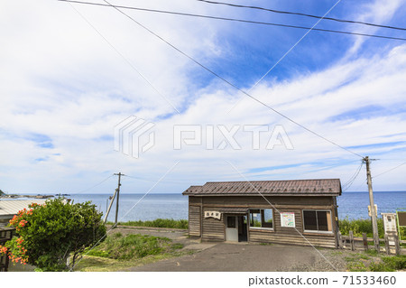 青森縣深浦町青櫻夏櫻站 71533460